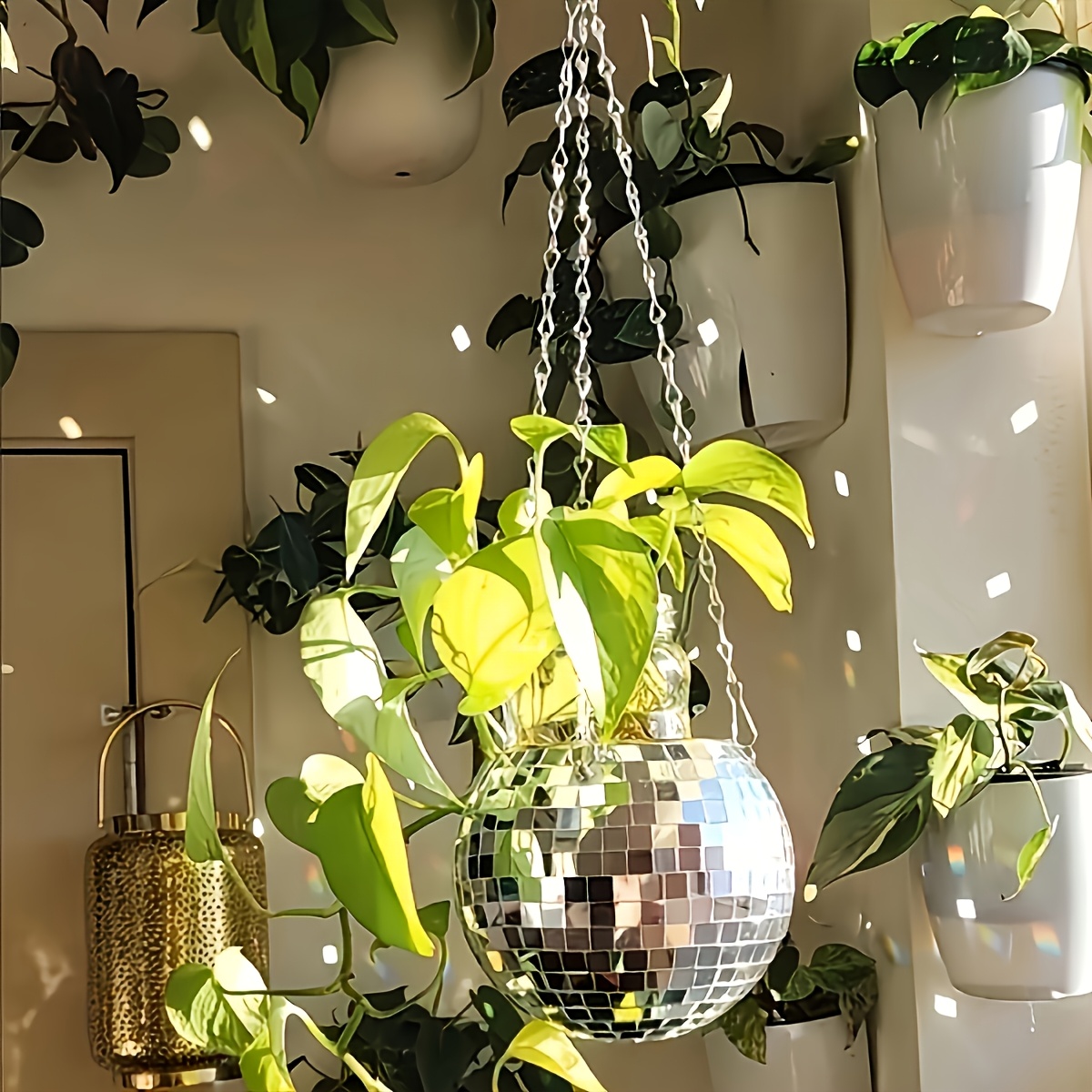 Echeveria Succulent - Disco Mirror Ball Hanging Flower Planter