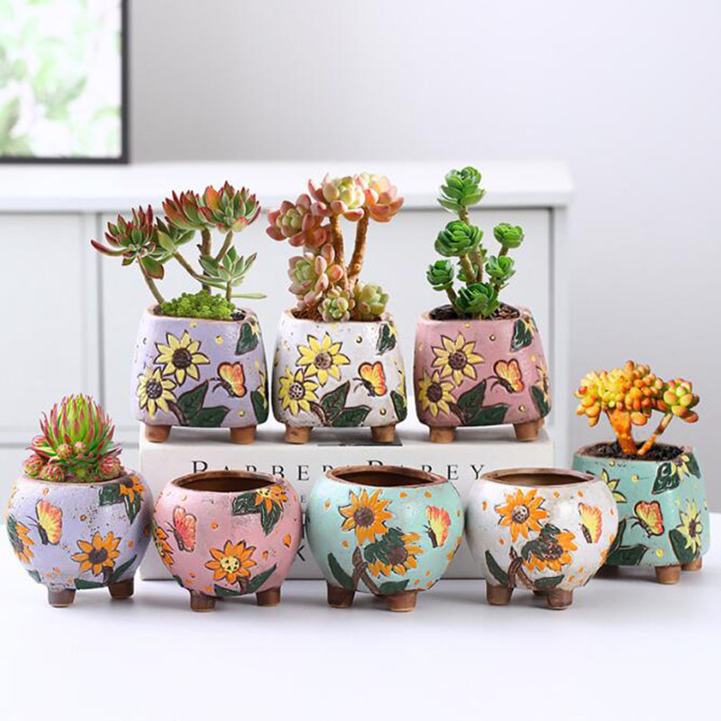 Korean Style Sunflower Pattern - Echeveria Succulent recension och pris