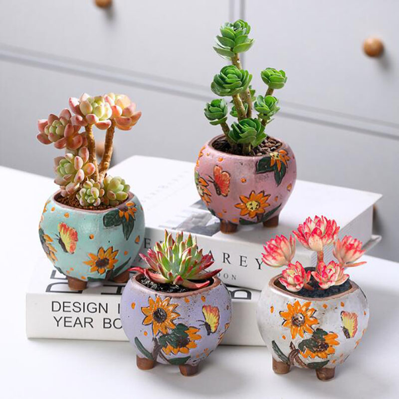 Korean Style Sunflower Pattern - Echeveria Succulent recension och pris