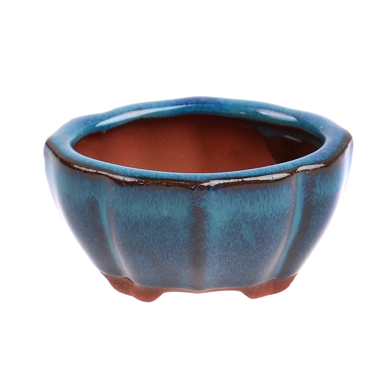 1pcs Bonsai Mini Ceramic Flowe - Echeveria Succulent recension och pris