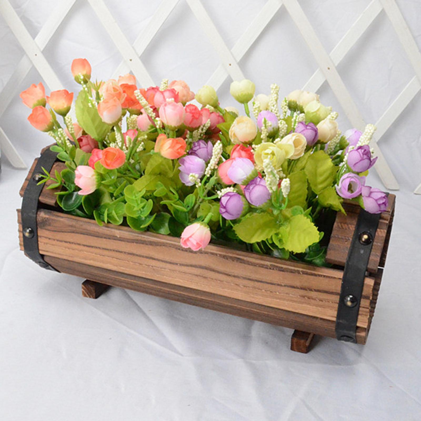 Antique Decorative Flower Pot  - Echeveria Succulent recension och pris
