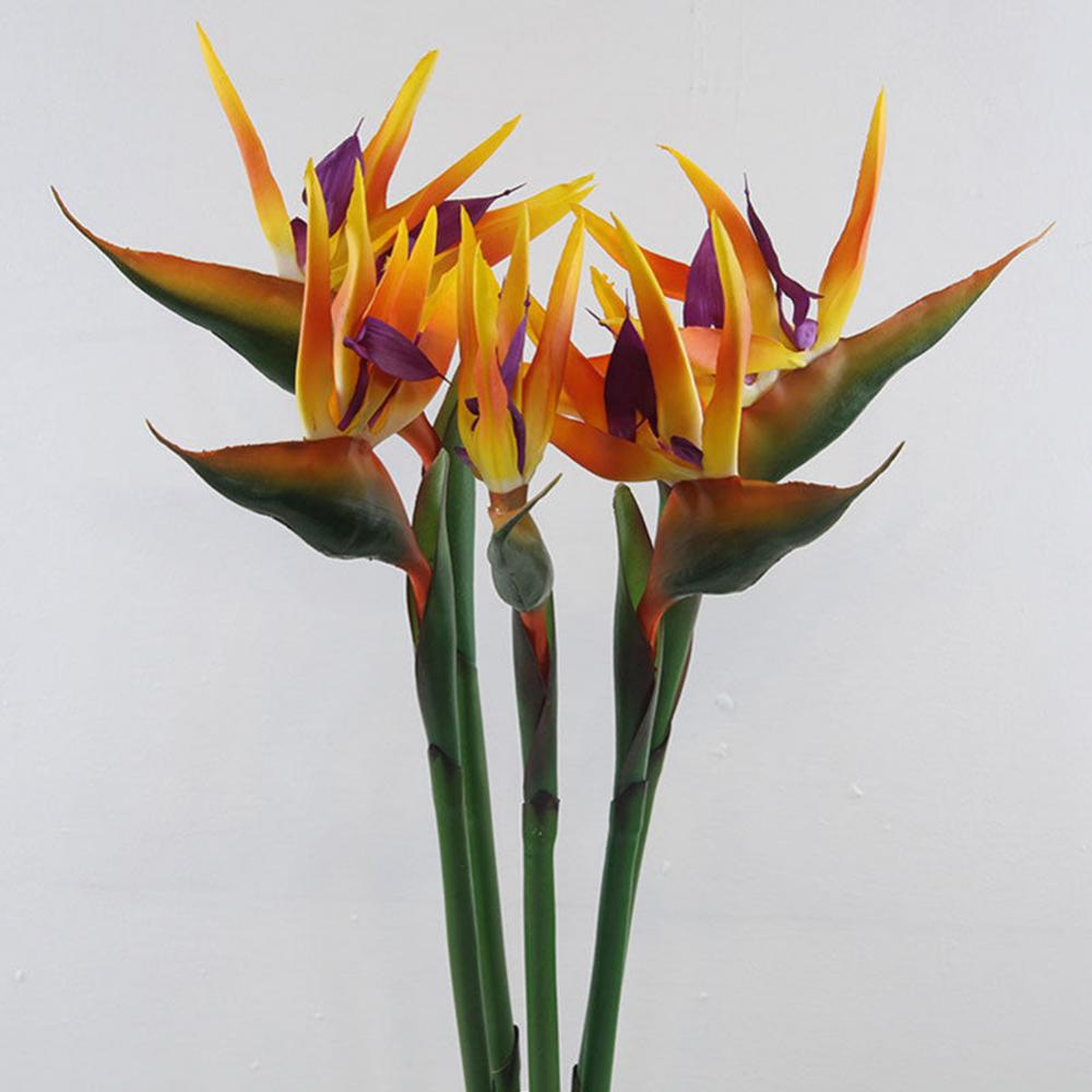 1pc 80cm Flower Bird Of Paradi - Bird Paradise Strelitzia recension och pris