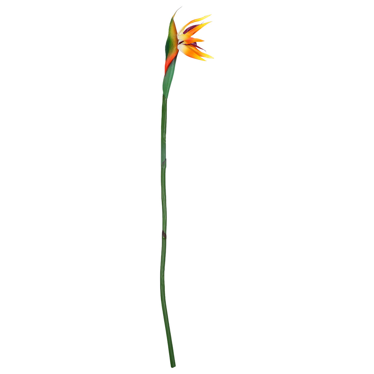 Artificial Strelitzia Flower R - Bird Paradise Strelitzia recension och pris