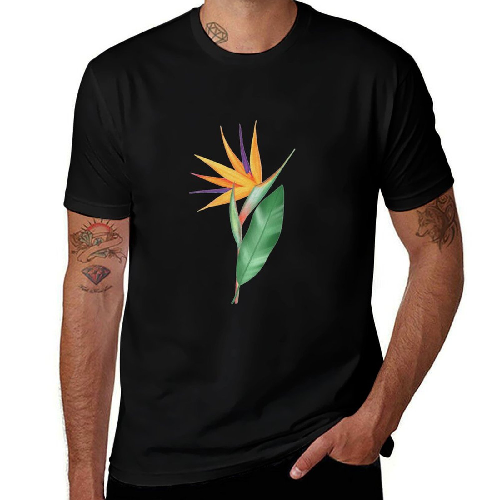 Watercolor bird of paradise fl - Bird Paradise Strelitzia recension och pris
