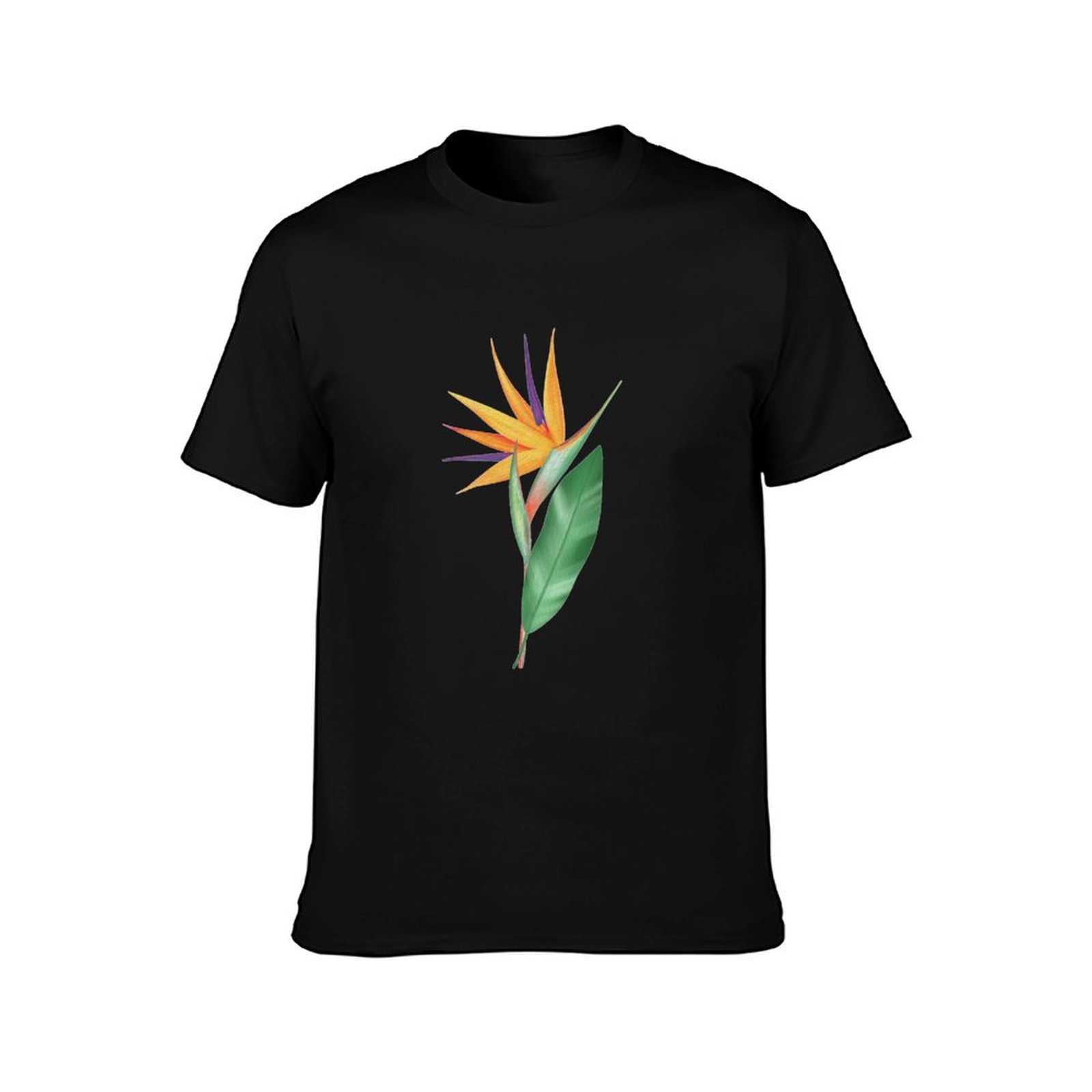 Watercolor bird of paradise fl - Bird Paradise Strelitzia recension och pris