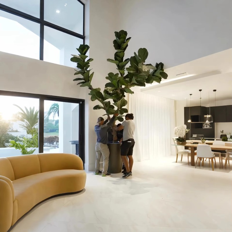 Artificial Plants Indoor Potte - Ficus Lyrata Tree recension och pris