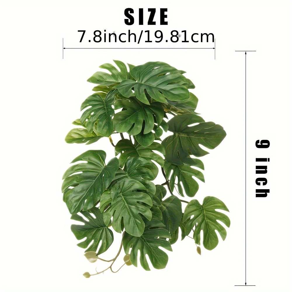 Reptile Plants for Terrarium A - Monstera Adansonii recension och pris