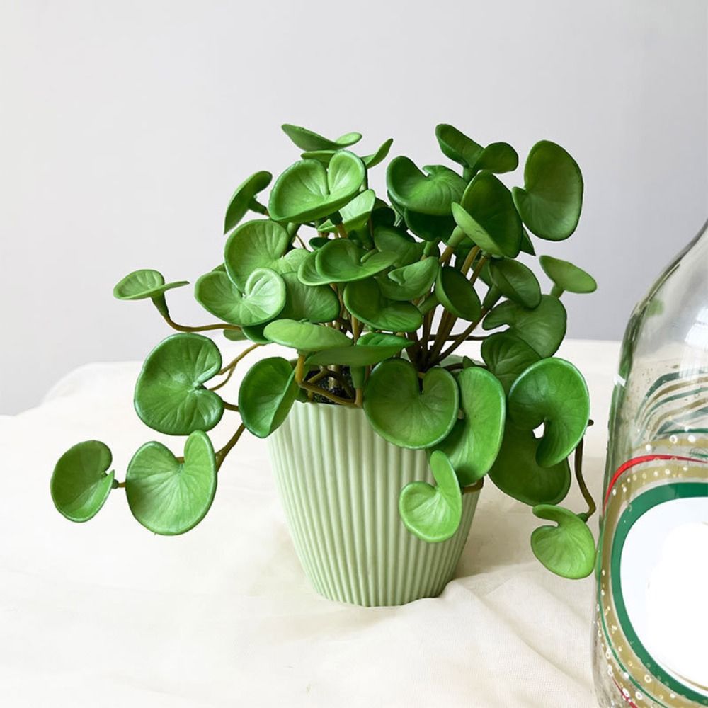 Soft Glue Artificial Plant EVA - Echeveria Succulent recension och pris