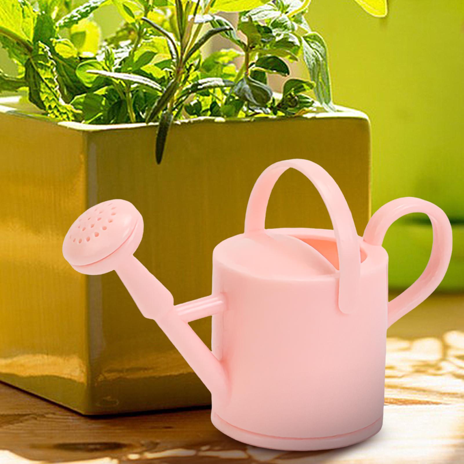 Small Kids Watering Can Flexib - Echeveria Succulent recension och pris