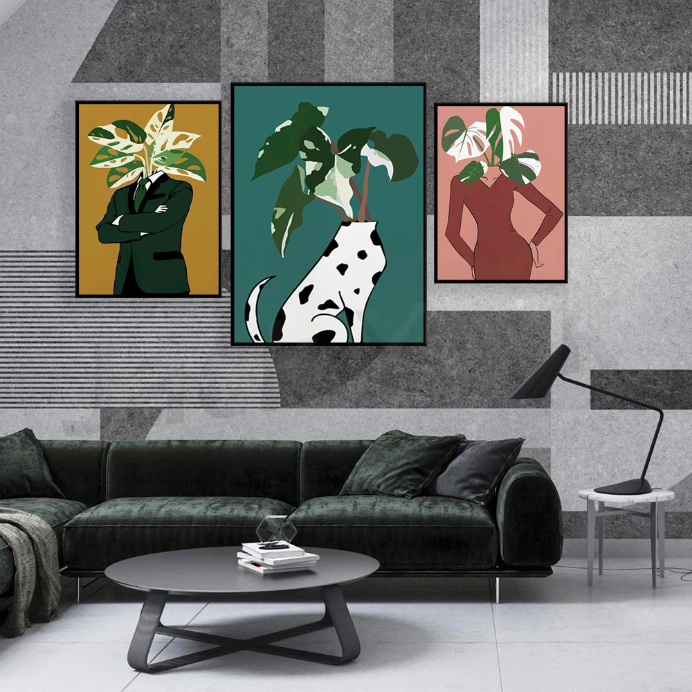Monstera Albo in a burgundy dr - Monstera Adansonii recension och pris