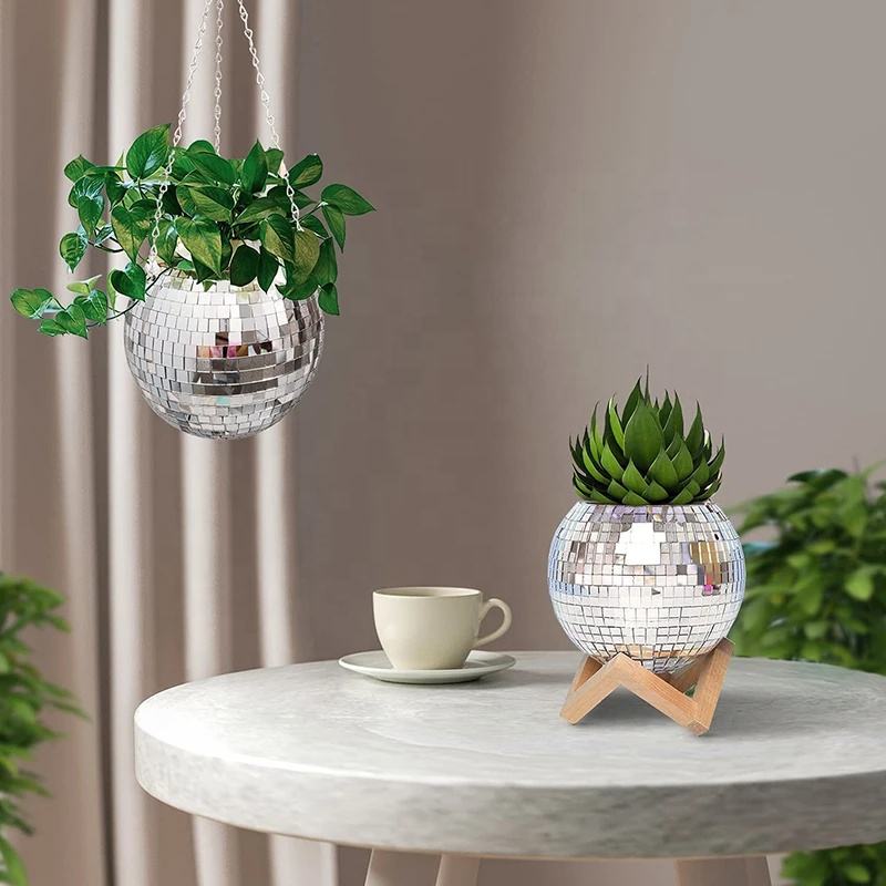 Disco Mirror Ball Hanging Flow - Echeveria Succulent recension och pris