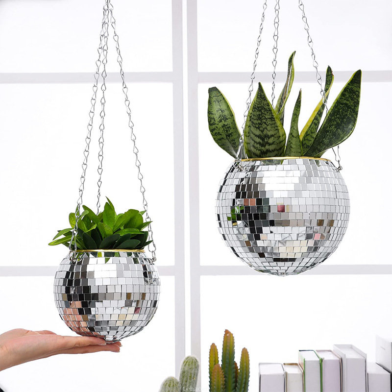 Disco Mirror Ball Hanging Flow - Echeveria Succulent recension och pris