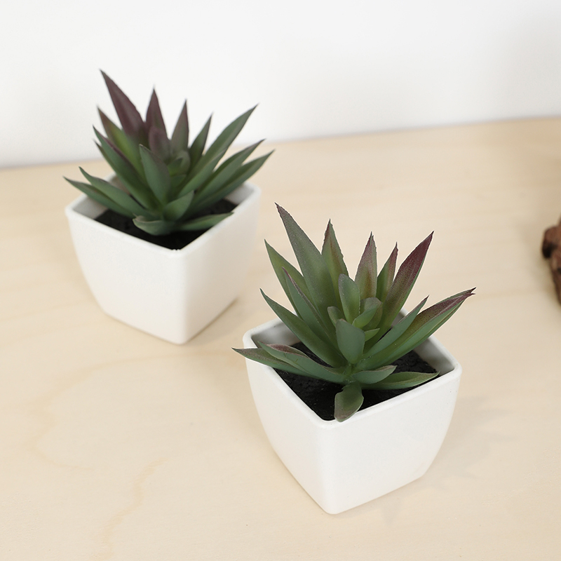 Mini Artificial Succulent Fair - Echeveria Succulent recension och pris