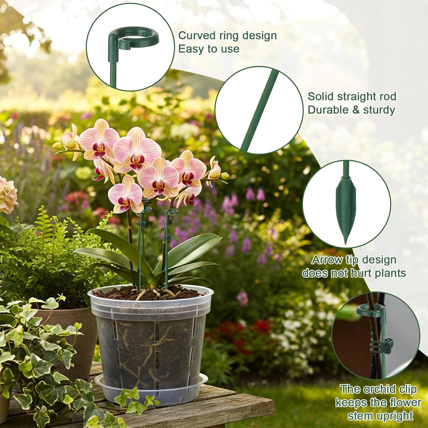 5/10pcs Plant Support Stakes P - Echeveria Succulent recension och pris