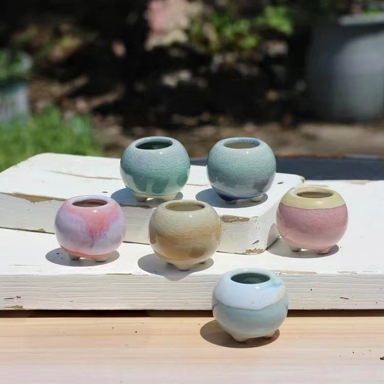 6Pcs Mini Flowerpot Succulents - Echeveria Succulent recension och pris